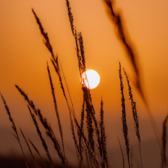 Chasing Sunsets: Capturing the Beauty of Golden Hours